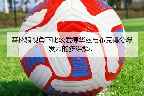 森林狼视角下比较爱德华兹与布克得分爆发力的多维解析 - kaiyun